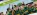 Responsive Website Design for St Patrick’s Boys’ National School