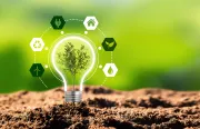 Green Branding and Design