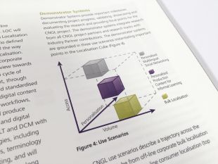 Annual Report Design - Graph Design - CNGL