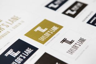 Logo Design - Brand Identity Guidelines - Taylor's Lane - GVA Donal O Buachalla