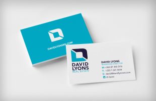 Brand Identity Design - Business Card Design - David Lyons Real Estate